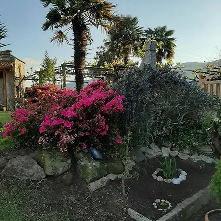 Casa rural Os Areeiros & Bodega