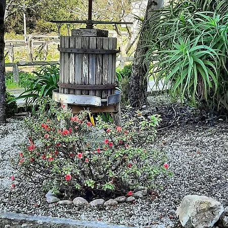 Os Areeiros & Bodega Casa rural *