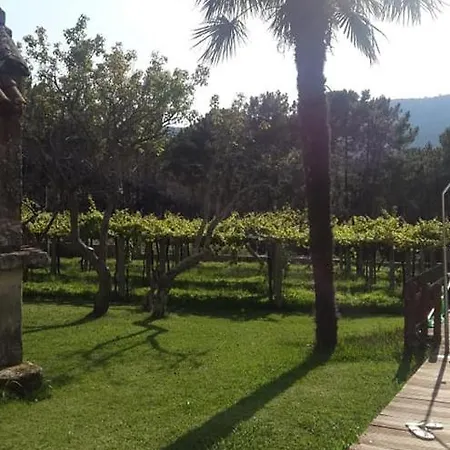 Os Areeiros & Bodega *