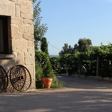 Os Areeiros & Bodega *