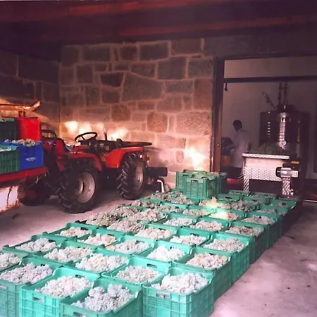 Os Areeiros & Bodega Séjour à la campagne