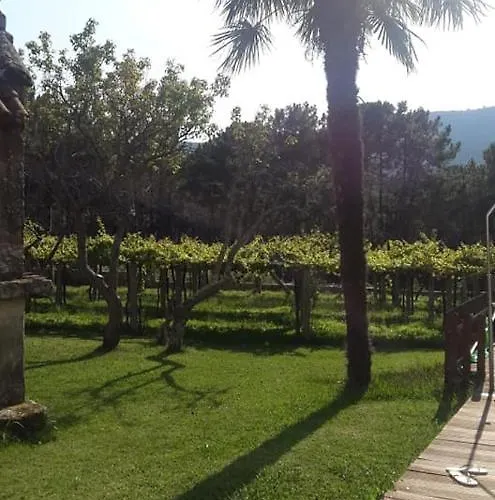 Os Areeiros & Bodega *
