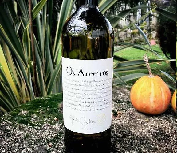 Os Areeiros & Bodega